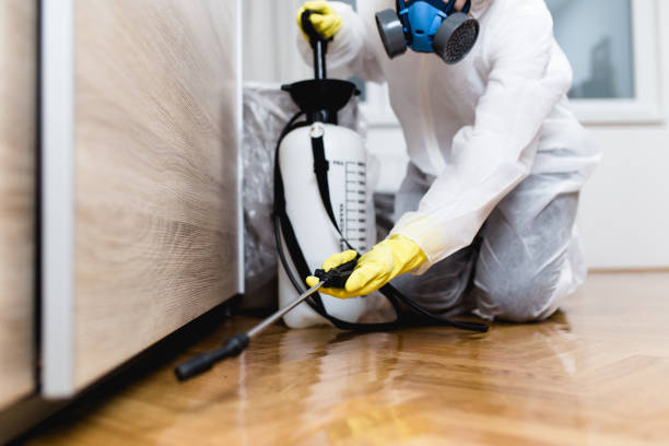 Best Ant Control Services  in Bude, MS