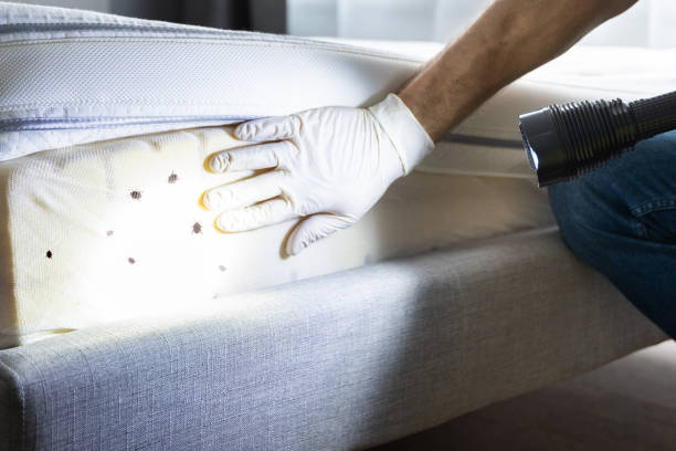 Professional Pest Control in Bude, MS